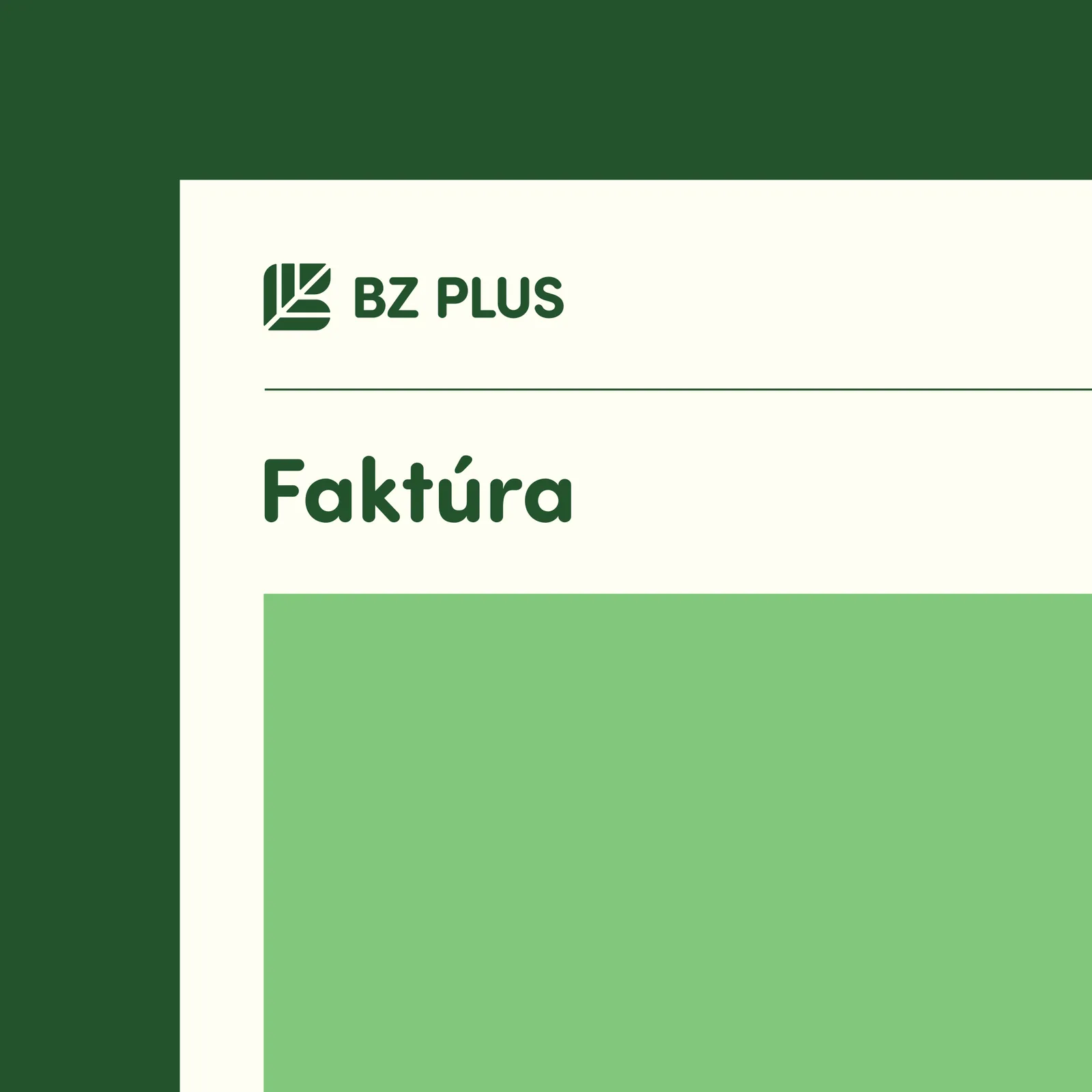 BZ PLUS invoice design