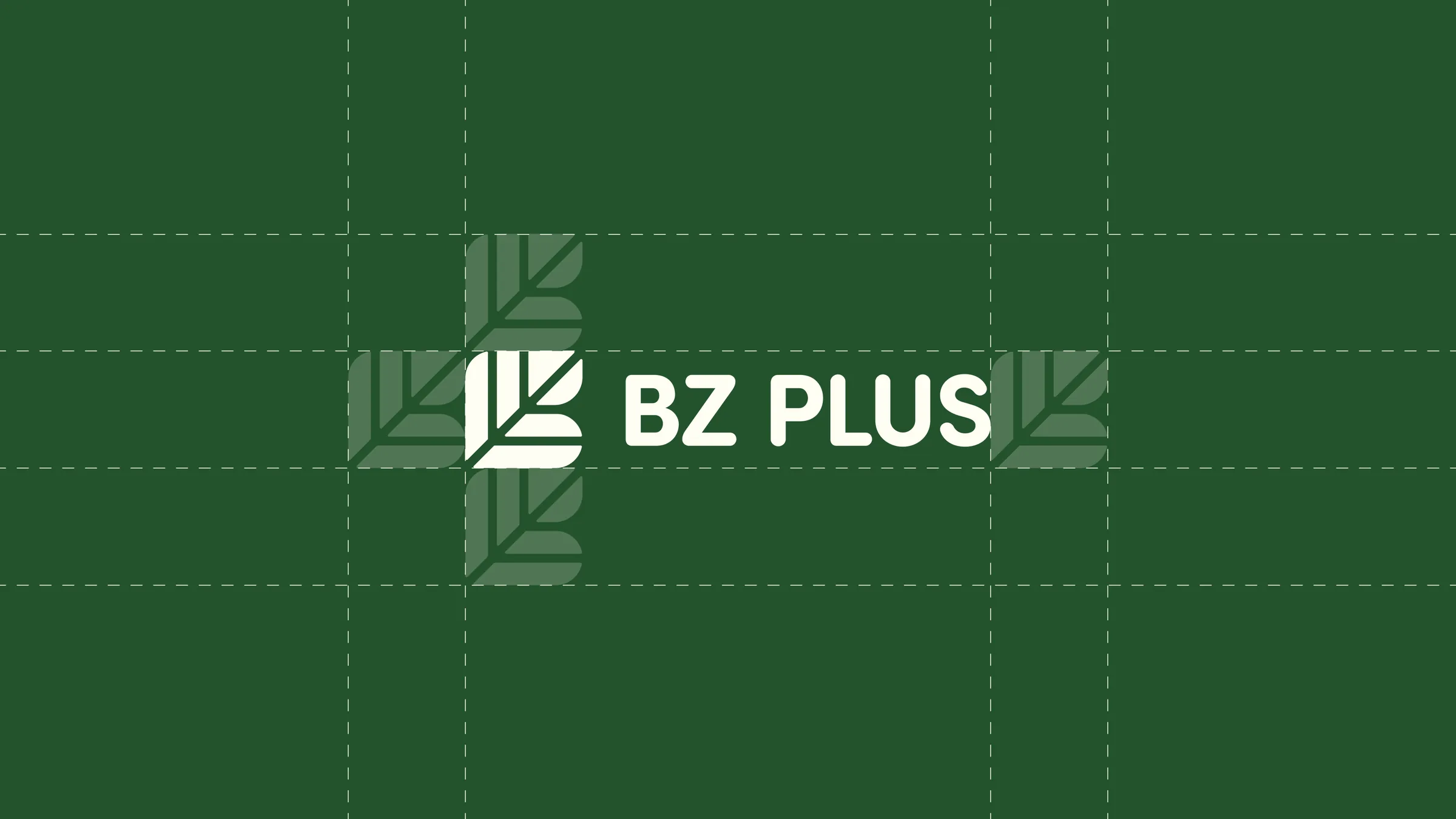 BZ PLUS logo lockup on a construction grid showing clear space